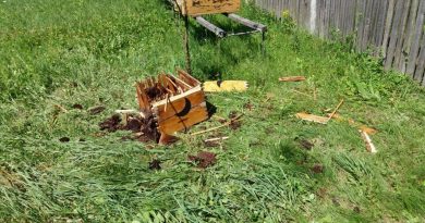 FOTO – Atacuri ale urșilor la Gheboieni! Animalele au coborât neașteptat de mult și nu se tem să intre în gospodării FOTO – Atacuri ale urșilor la Gheboieni! Animalele au coborât neașteptat de mult și nu se tem să intre în gospodării