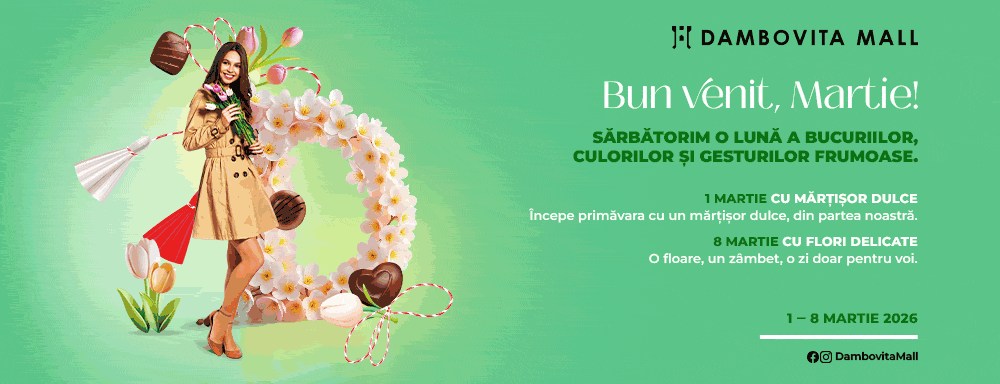 Dambovita Mall