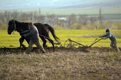 AGRICULTURA