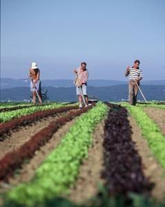 Campania-agricola-de-primavara-a-intrat-in-linie-dreapta