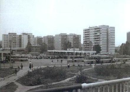 demolari_autograra