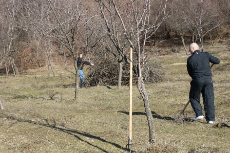 detinuti