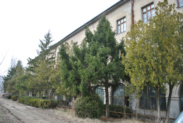 valleriana8