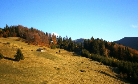 leaota-cioara-47
