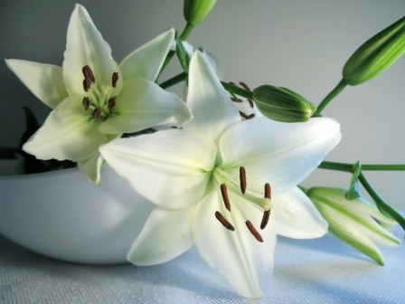 floare1