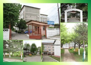 mihaescu