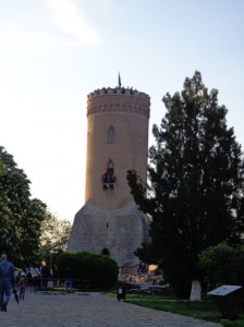 DSC02073