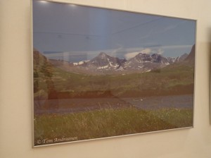 DSC02347