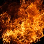 foc
