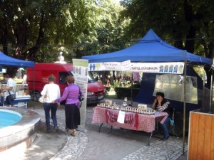 piata taraneasca zilele cetatii (4)