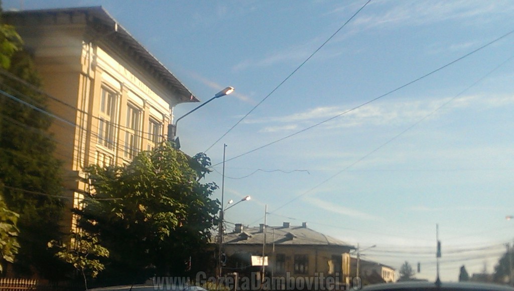 IMAG3007