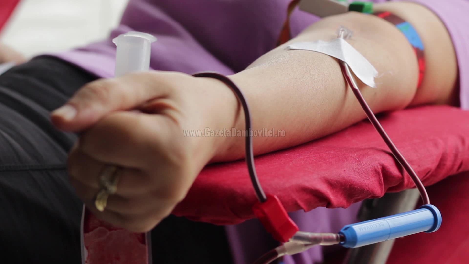 Cu banca de sânge… în hol! Centrul de Transfuzie Sanguină Dâmbovița cere ajutorul CJD pentru găsirea unui sediu adecvat! Cu banca de sânge… în hol! Centrul de Transfuzie Sanguină Dâmbovița cere ajutorul CJD pentru găsirea unui sediu adecvat!