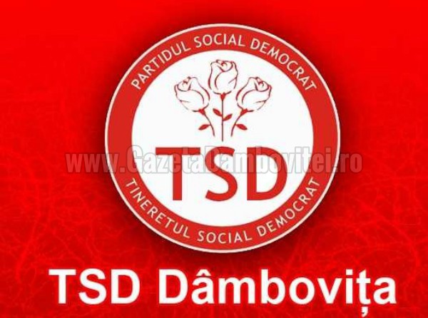 tsd dambovita