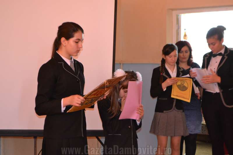 DSC_0681_800x533