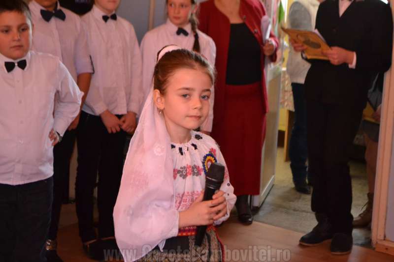 DSC_0704_800x533