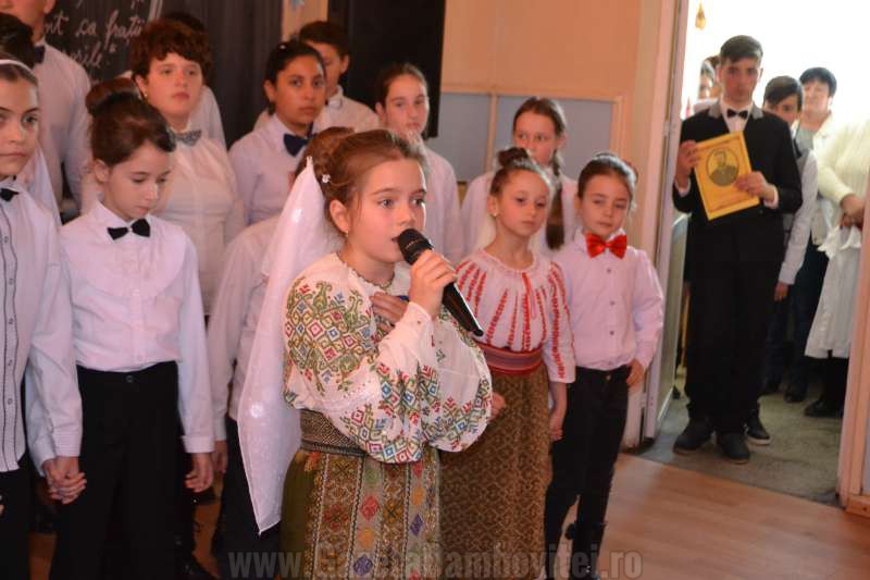 DSC_0707_800x533