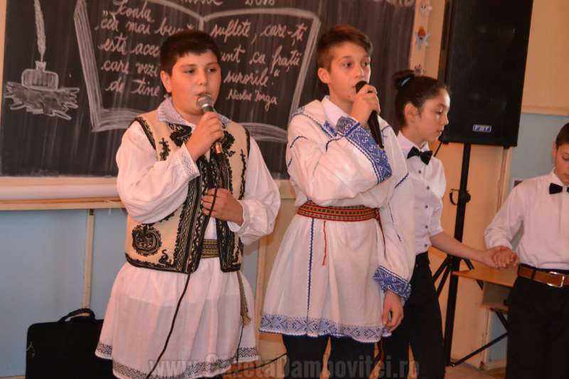 DSC_0720_800x533