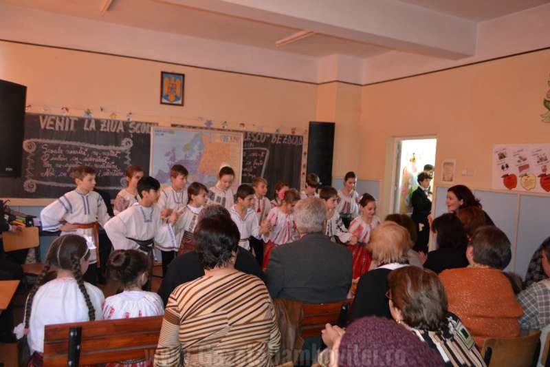 DSC_0728_800x533