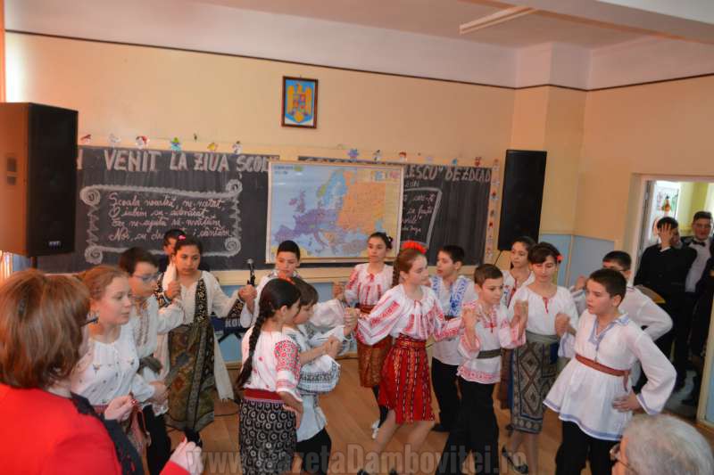 DSC_0739_800x533