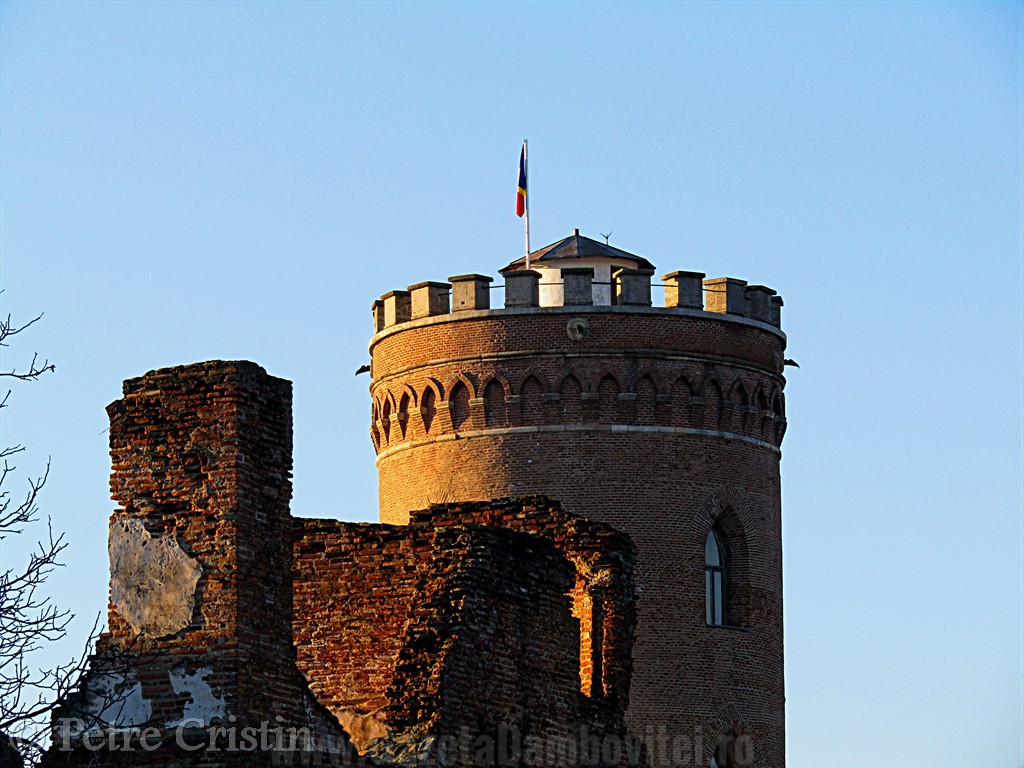 IMG_0545