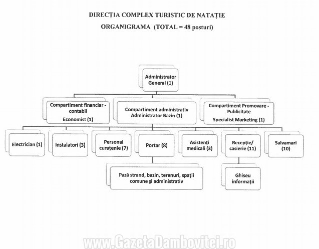 organigrama directie