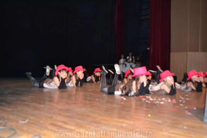 DSC_0137_800x533