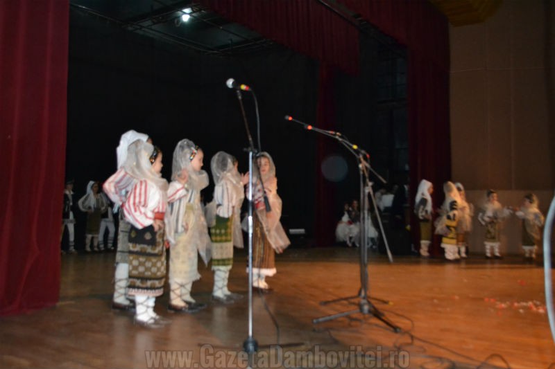 DSC_0155_800x533