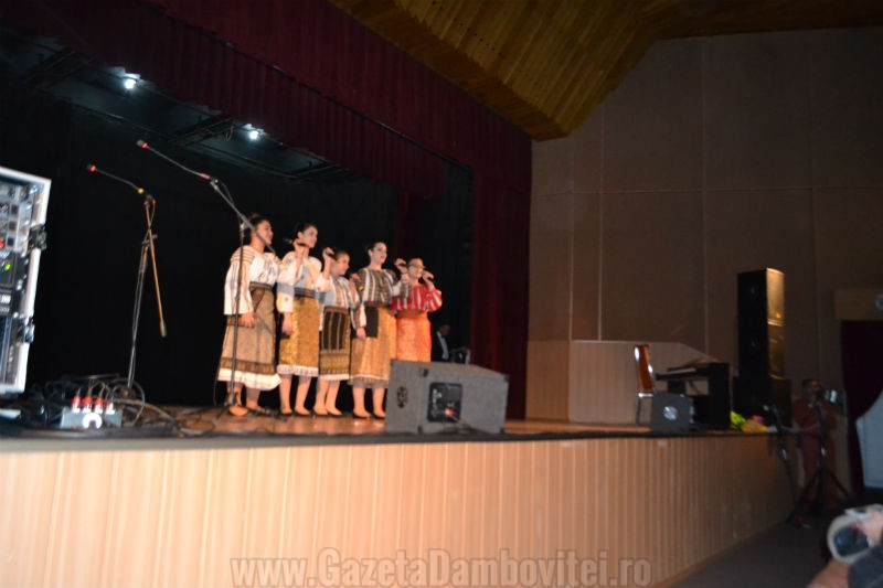 DSC_0158_800x533