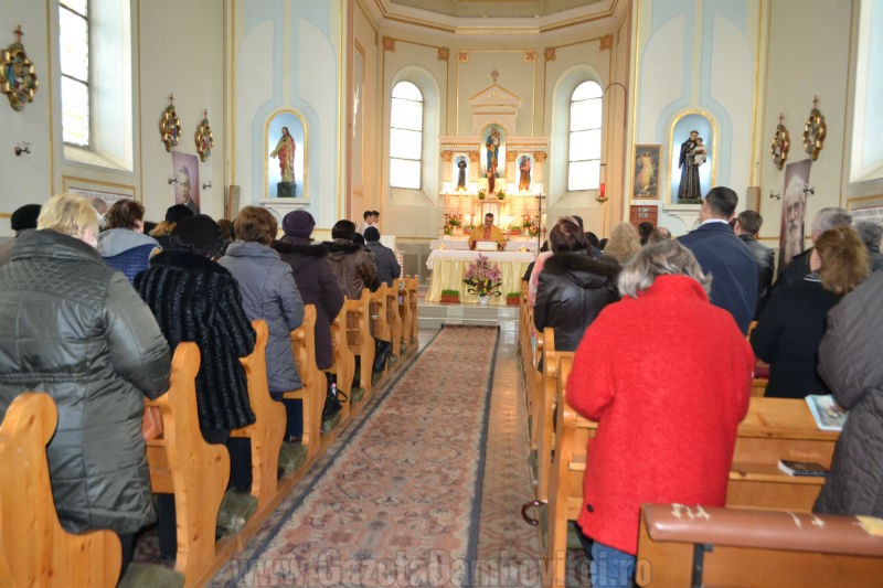 DSC_0381_800x533