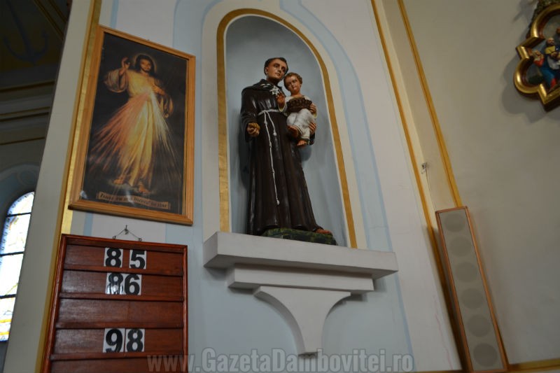 DSC_0391_800x533