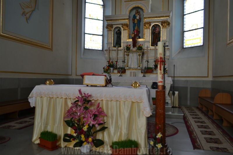 DSC_0392_800x533
