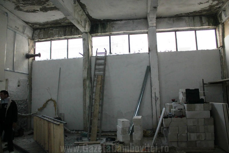 IMG_6905_800x533