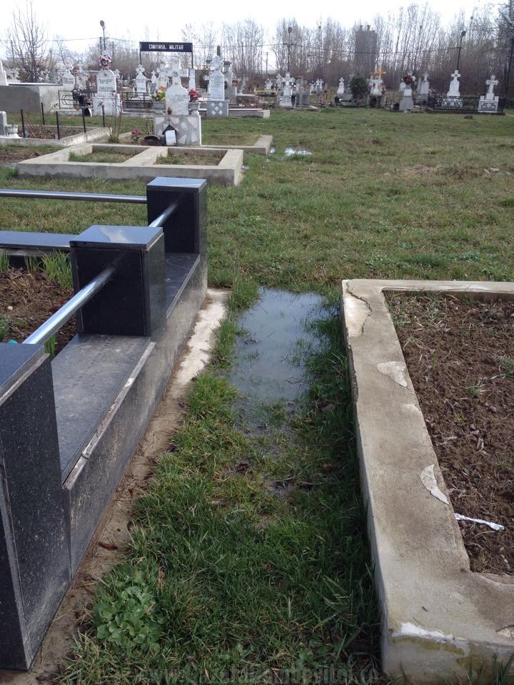 cimitir 5