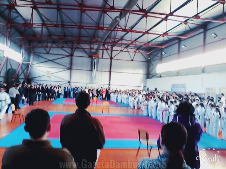 Cupa României Karate Preuniversitar (6)