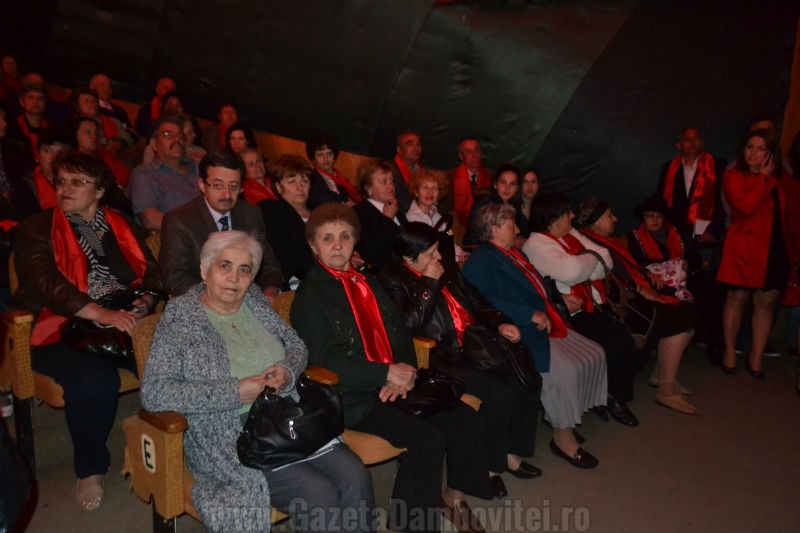 DSC_0711_800x533