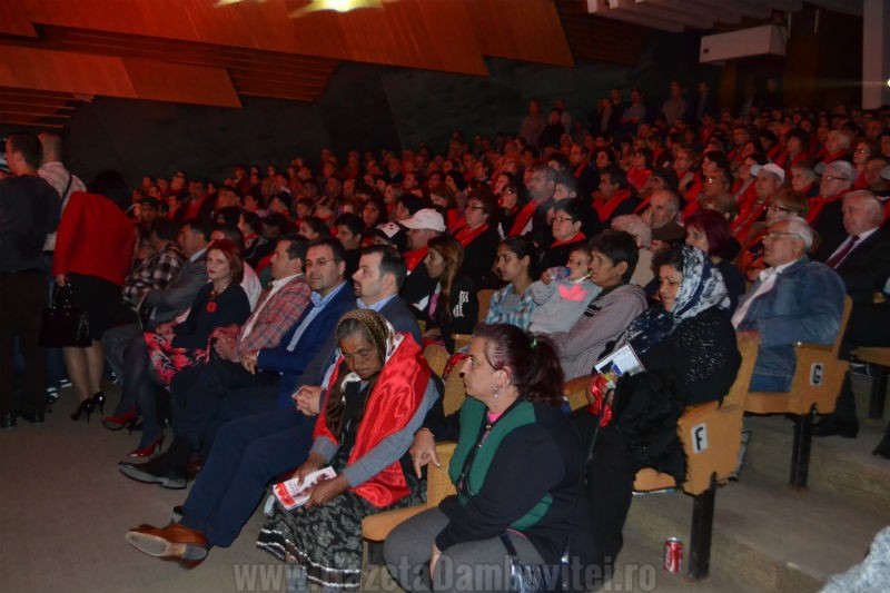 DSC_0718_800x533