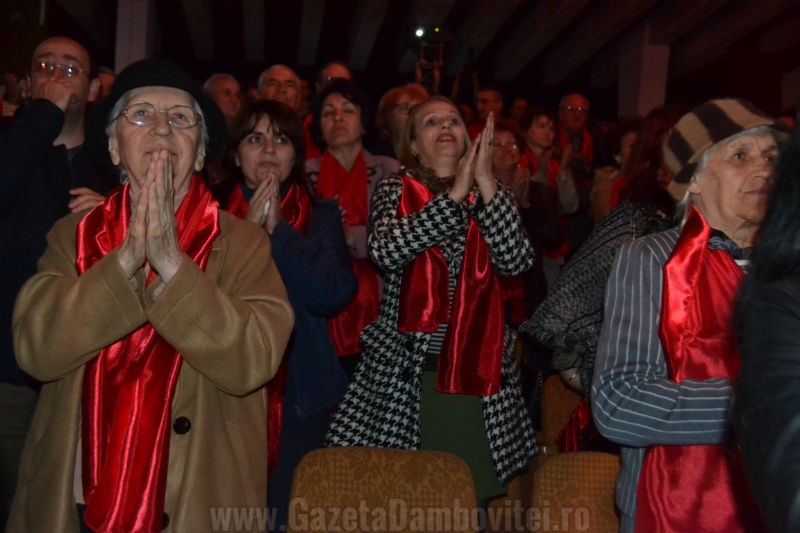 DSC_0880_800x533