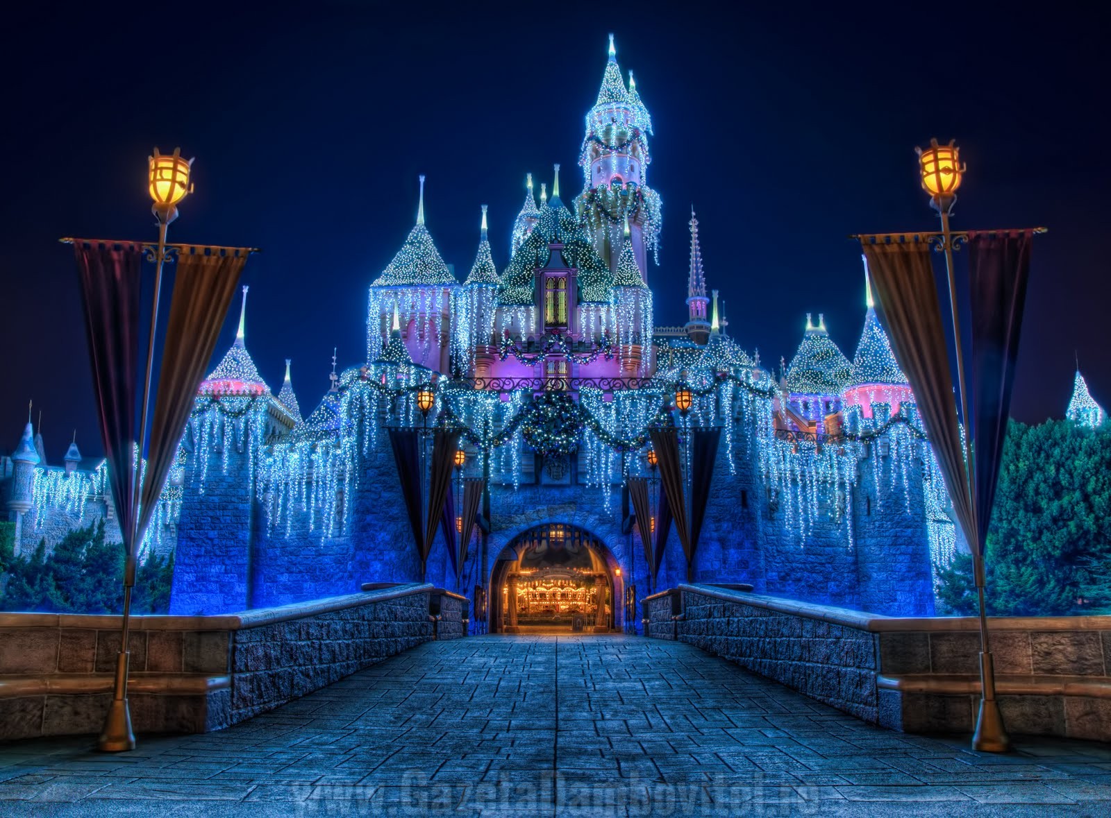 Disneyland_Christmas_Castle