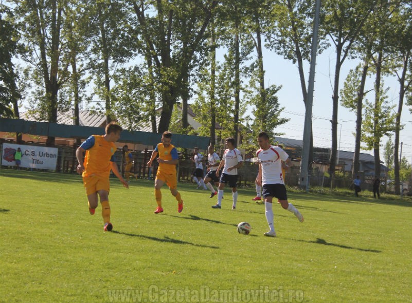 IMG_7649_801x590