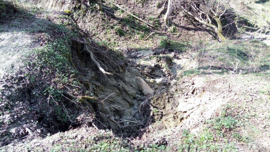 bomba (3)