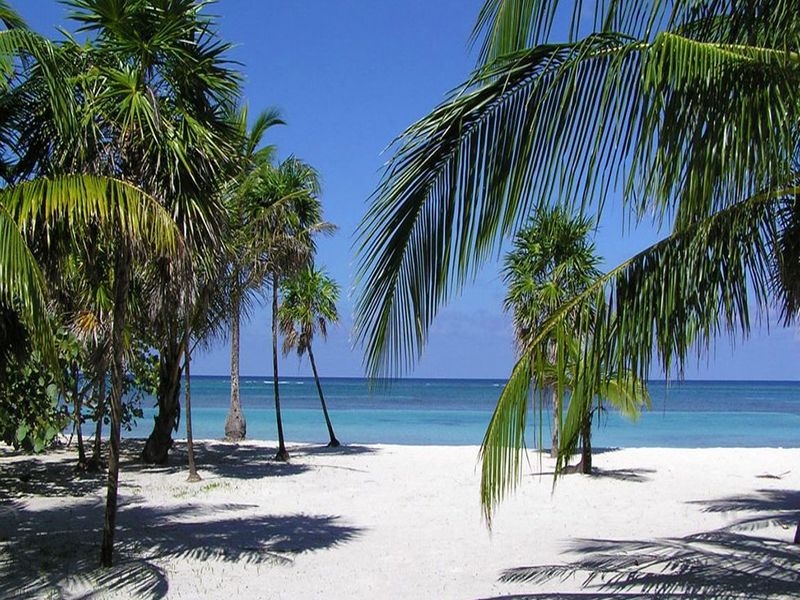 costa del sol (5)