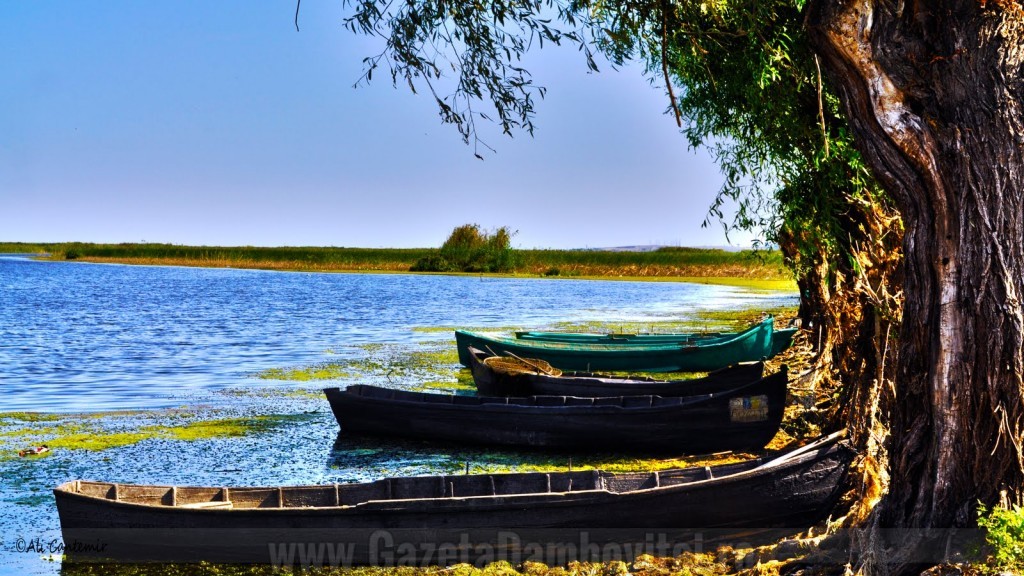 delta-dunarii-ali-cantemir