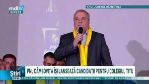 pnl-dambovita-isi-lanseaza-candidatii