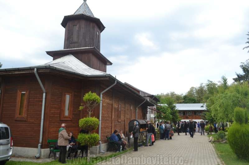 DSC_0589_800x533