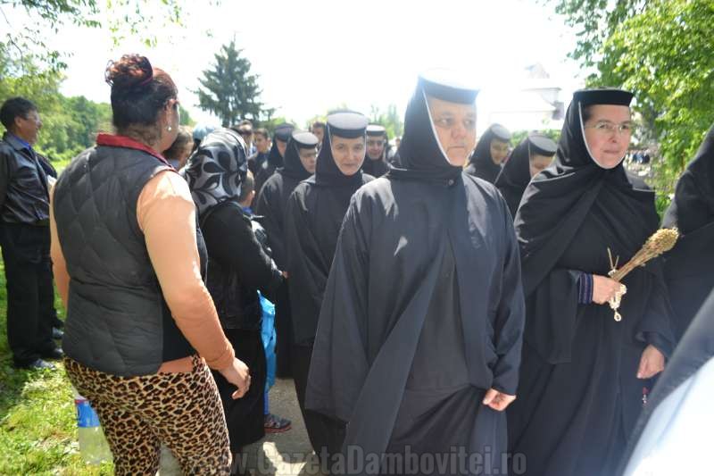 DSC_0662_800x533