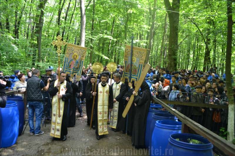 DSC_0680_800x533