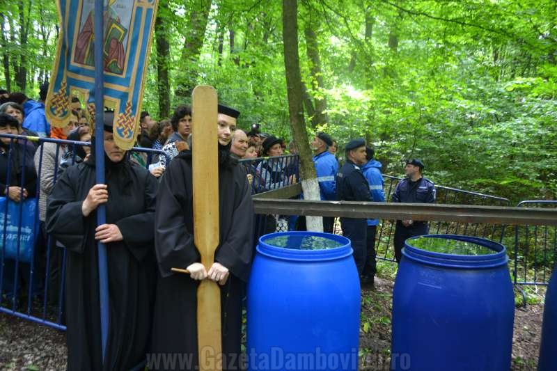 DSC_0690_800x533