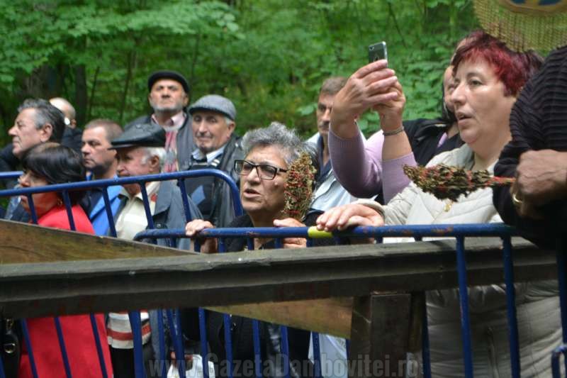 DSC_0694_800x533