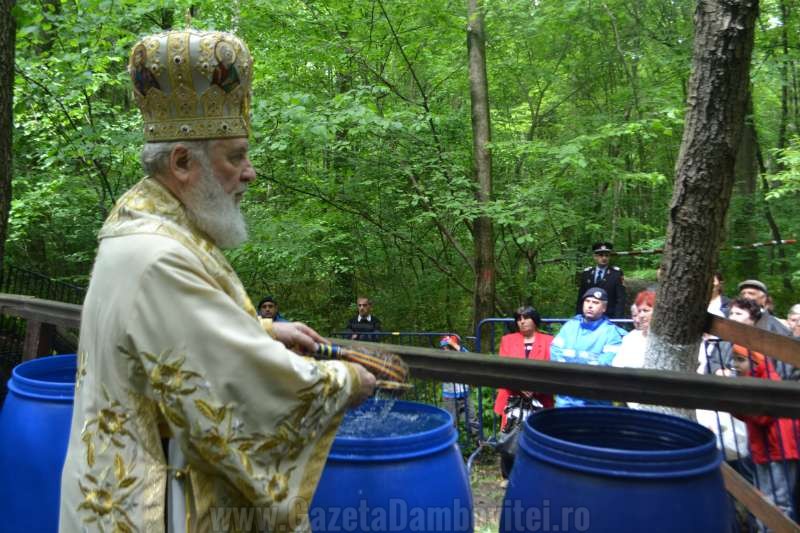 DSC_0708_800x533