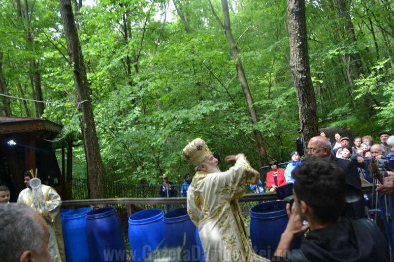 DSC_0715_800x533